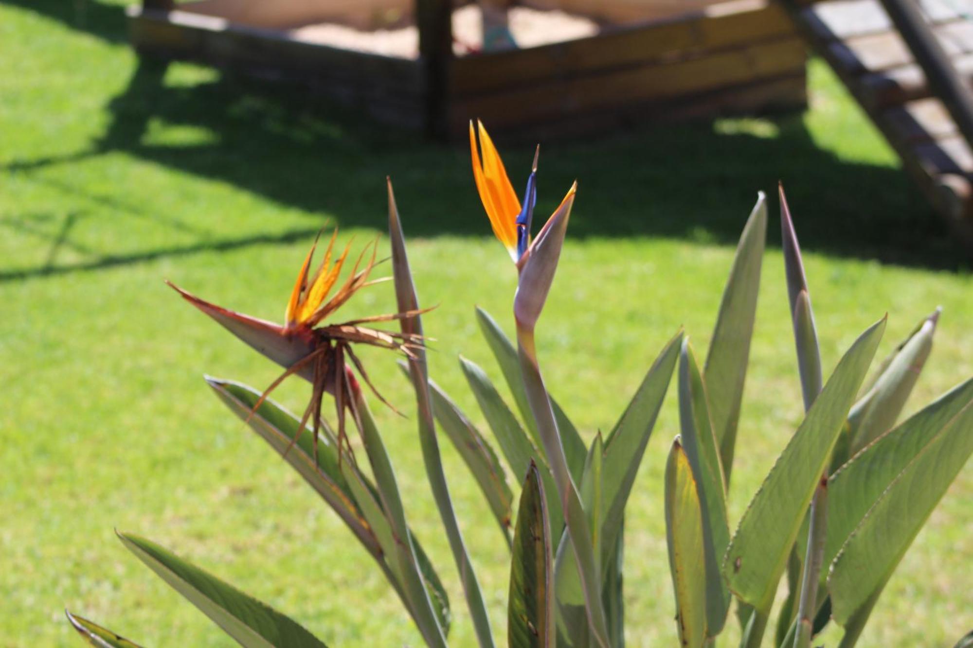 Hartenbos Private Game Lodge 외부 사진