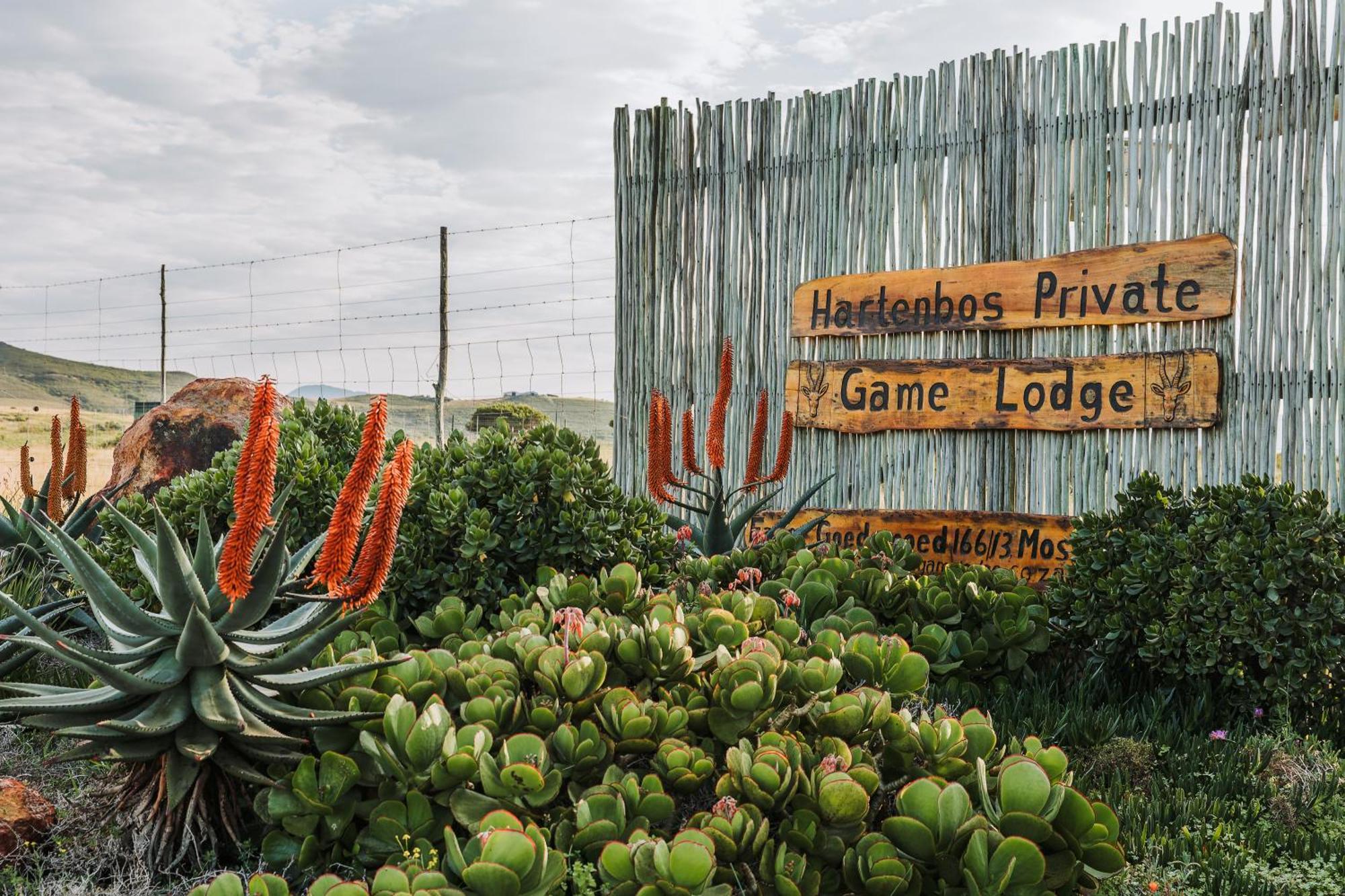 Hartenbos Private Game Lodge 외부 사진