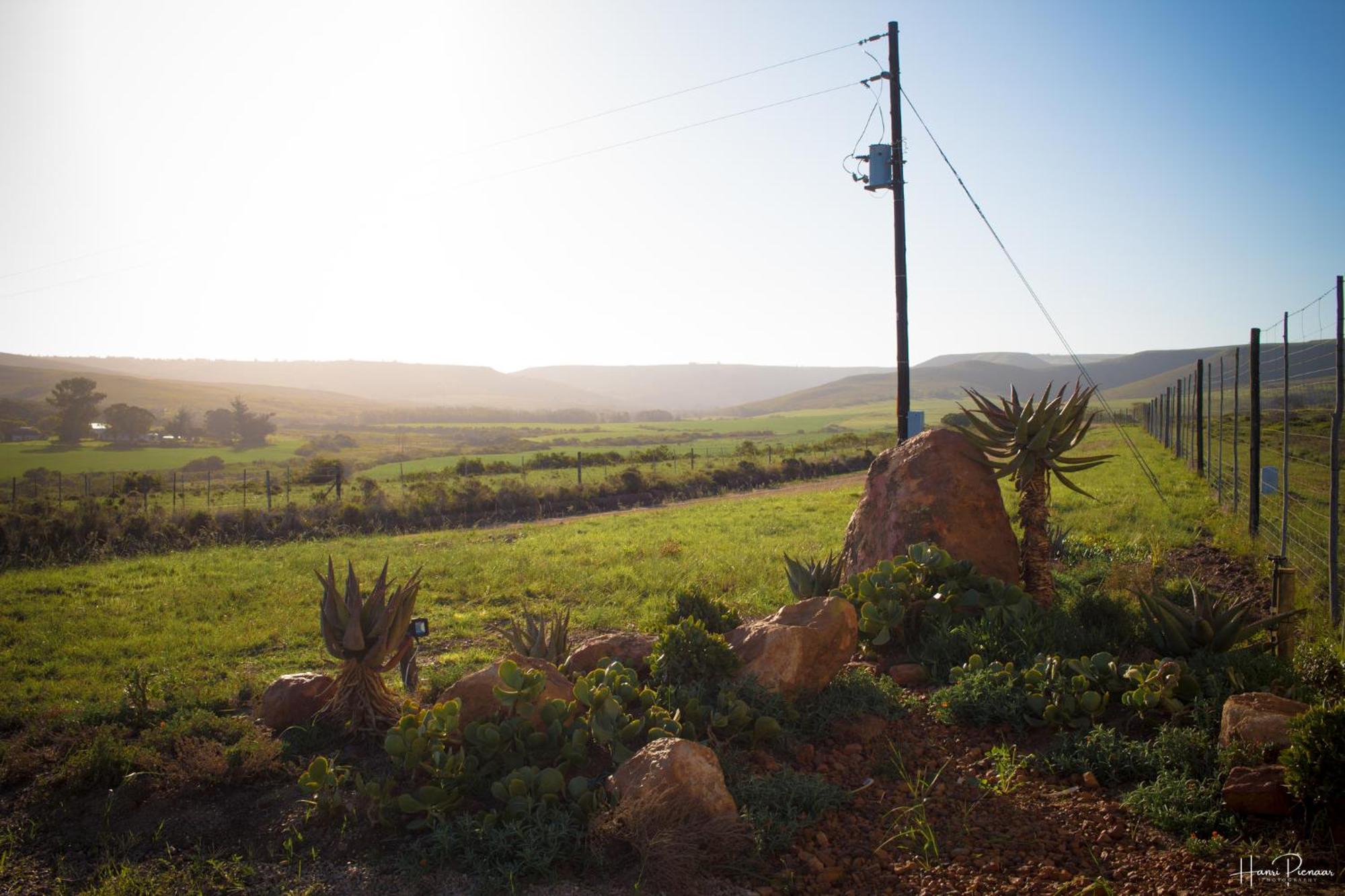 Hartenbos Private Game Lodge 외부 사진